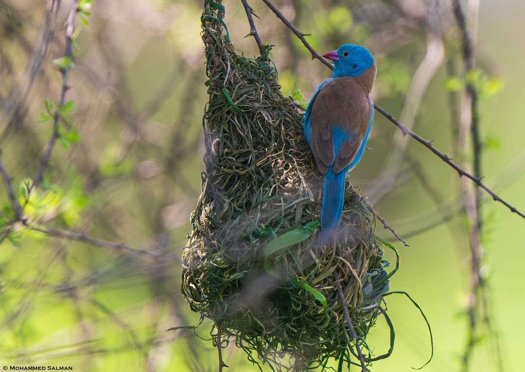 Usambara Mountains Safaris